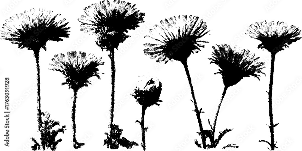 Obraz premium Black and white halftone wildflower set for print design or botanical art