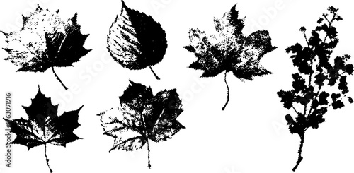 Black and white halftone leaf illustration set for artistic design