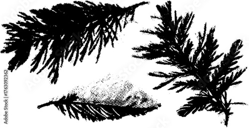 Black and white halftone pattern of pine needles for print design