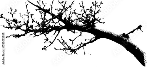 Black and white halftone tree branch pattern for artistic design