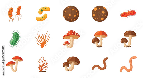 Diverse microscopic lifeforms including bacteria fungi and worms illustration