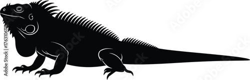 Dramatic black silhouette of an iguana reptile in profile detailed texture and spikes flat design vector illustration isolated on transparent background