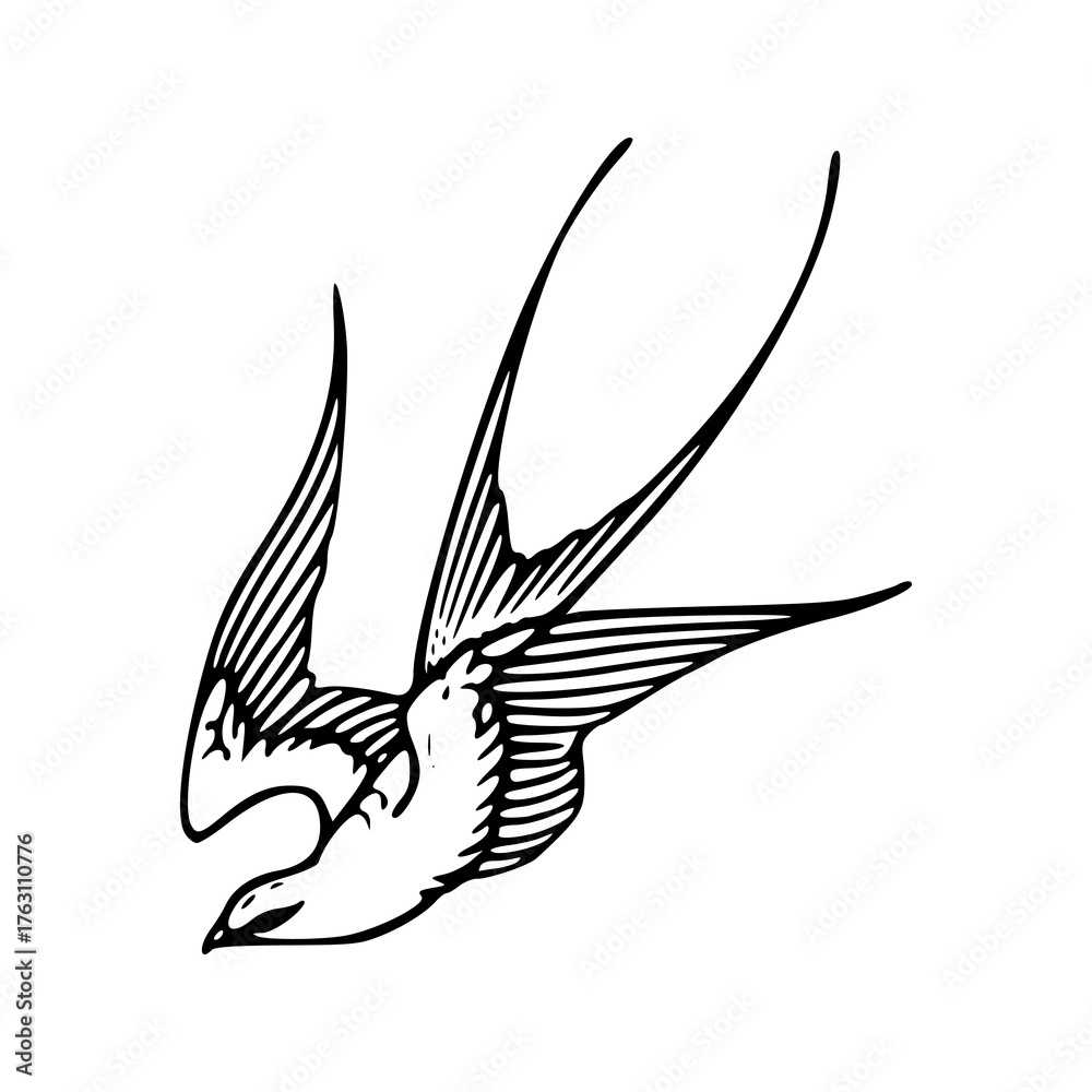 Fototapeta premium vintage flying bird engraving style vector