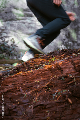 Trail running on cedar