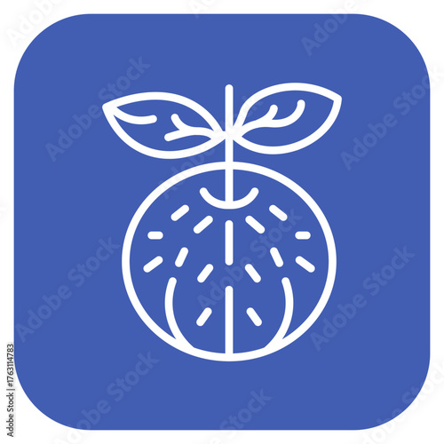 Tangerine icon vector image. Can be used for Fruits and Vegetables.