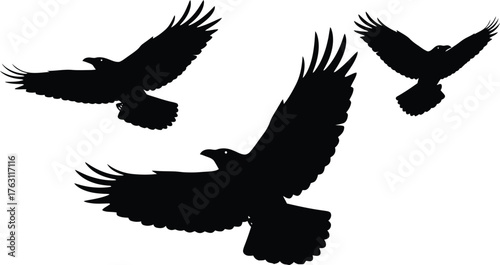 Three silhouetted eagles soaring freely through the sky with wings spread wide flat design vector illustration isolated on transparent background