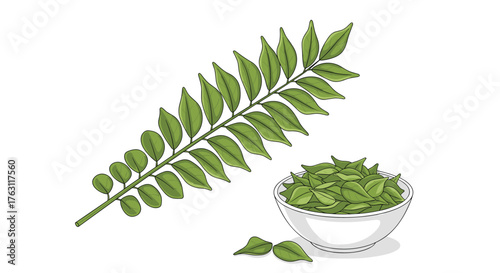A sprig of curry leaves next to a bowl full of curry leaves on a white background illustration