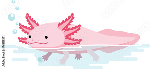 Cute pink axolotl swimming in water with bubbles adorable amphibian aquatic pet flat design vector illustration isolated on transparent background