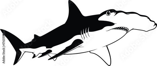 Detailed sketch of a hammerhead shark swimming underwater with distinctive head shape flat design vector illustration isolated on transparent background