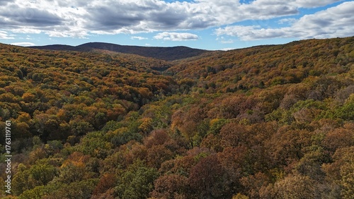Aerial view of colorful autumn forest trees drone shoot season element