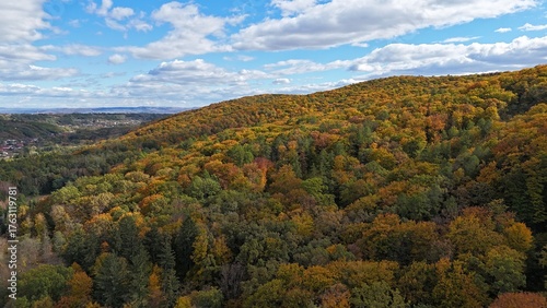 Aerial view of colorful autumn forest trees drone shoot season element