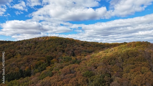 Aerial view of colorful autumn forest trees drone shoot season element