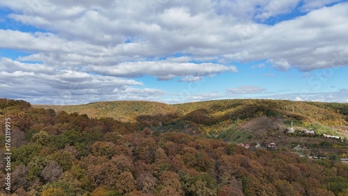 Aerial view of colorful autumn forest trees drone shoot season element
