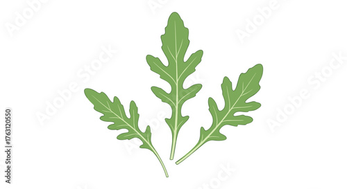 Three arugula leaves arranged on a white background in a simple and clean presentation style