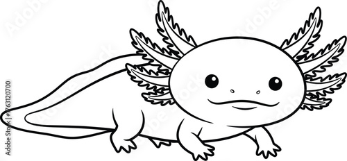 Cute axolotl amphibian animal line art drawing for coloring and design flat design vector illustration isolated on transparent background