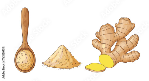 Illustration of ginger root, ginger powder in a spoon, and a pile of ginger powder on white