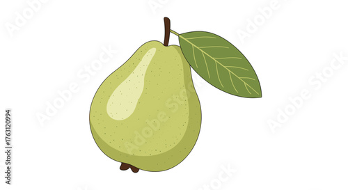 Illustration of a light green pear with a brown stem and a green leaf on a white background