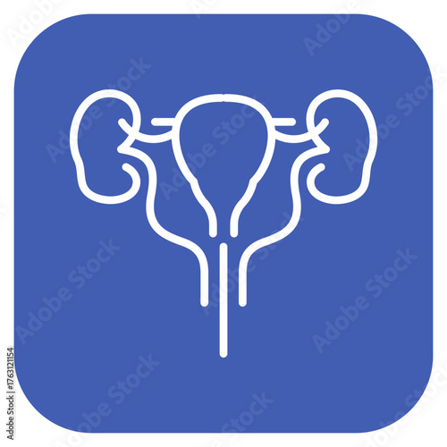 Bladder icon vector image. Can be used for Human Anatomy.