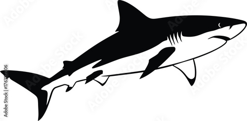 Dynamic illustration of a great white shark swimming in the ocean with a powerful presence flat design vector illustration isolated on transparent background