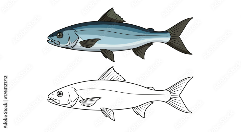 Obraz premium Illustration of a fish with color and black and white outline on a white background facing left