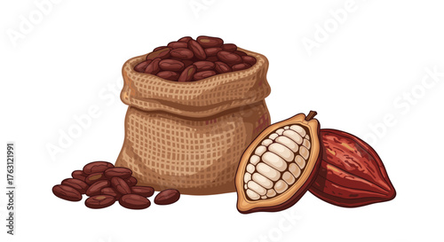 A burlap sack filled with cocoa beans and two cocoa pods on a white isolated background art