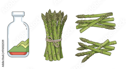 Illustration of a bottle with layered contents a bundle of asparagus and loose asparagus spears on white