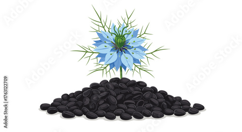 A nigella flower with light blue petals and green leaves on top of a pile of black seeds isolated