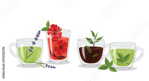 Four glasses with different teas and flowers on a white background in a vector illustration