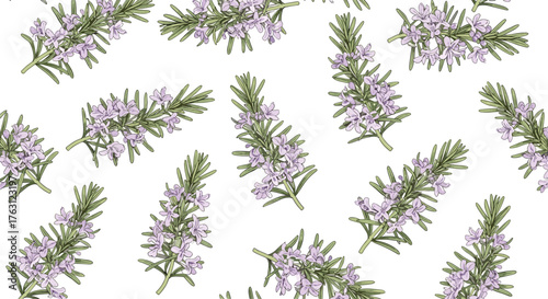 Floral pattern featuring sprigs of rosemary with delicate purple flowers on a white background art style