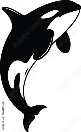 Majestic orca killer whale leaping from ocean waters depicting aquatic power and graceful movement flat design vector illustration isolated on transparent background