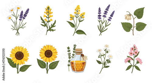Illustration of various flowers including sunflowers, lavender, and a bottle of honey on white