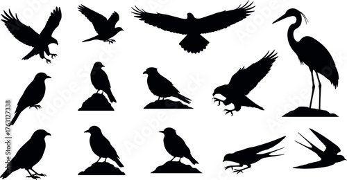 Musical instrument silhouettes, violinist performing on stage, piano, guitar, trumpet, tuba, drums, orchestra band, classical concert, artistic music illustration