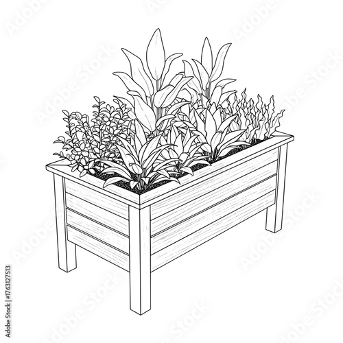 Detailed black and white sketch illustration of a rustic wooden garden planter box filled with lush green plants