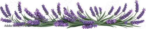 A simple icon pattern design of a lavender border ideal for elegant design themes