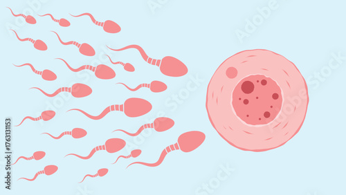 Numerous sperm cells swim toward a large human egg cell in a biological reproductive fertilization scene