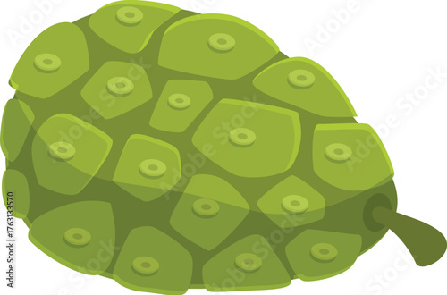 Exotic noni fruit isolated on white background, showcasing its bumpy skin texture
