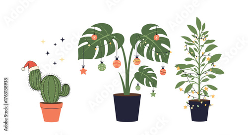 Charming holiday plants bring festive cheer with cactus in Santa hat, monstera and greenery, perfect for modern Christmas vibes