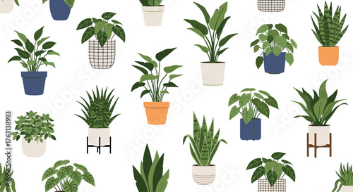 Trendy houseplant collection for interior design, perfect for adding a touch of vibrant greenery to any modern space