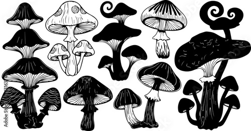 Assorted Black and White Mushroom Illustrations with Intricate Line Work.