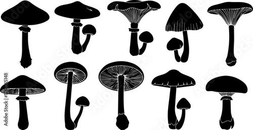 Diverse Black Silhouettes of Various Mushroom Species with Detailed Caps and Stems.