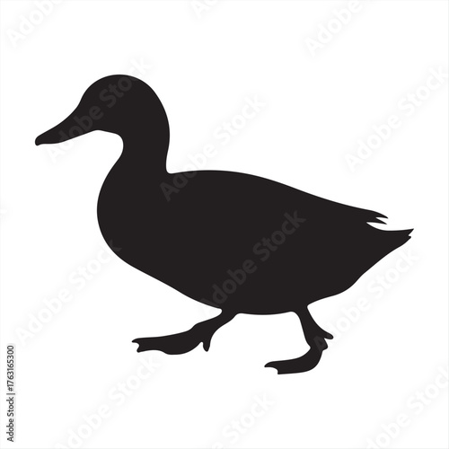 Black-headed gull silhouette flying, a vector illustration of a wild bird with wings and feathers isolated on white vector illustration of a wild duck isolated on a white background