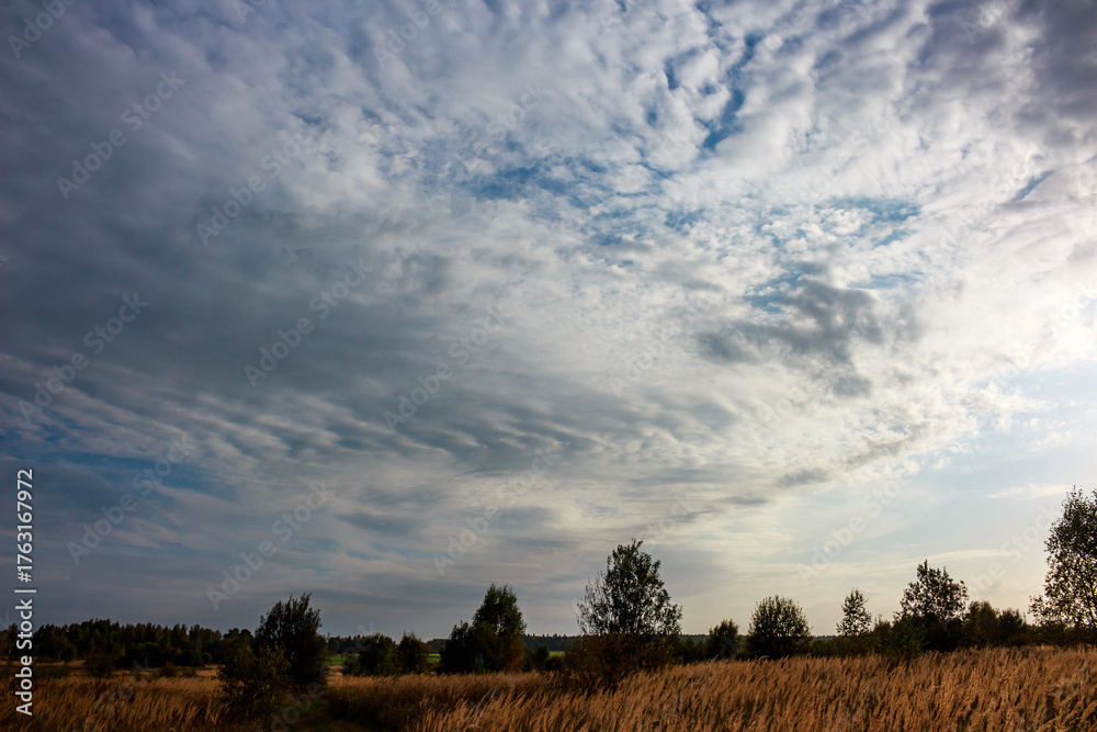 Obraz premium Dynamic clouds paint a dramatic, wide-open sky over a tranquil golden field and distant trees, showcasing nature's beauty and vastness