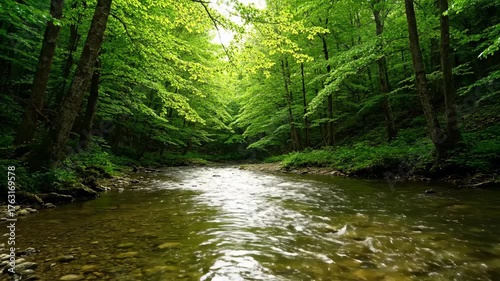 Serene timelapse of a clear river flowing through a lush green forest, showcasing the dynamic interplay of light and water growth, summer, forest