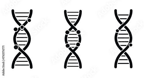 Simple illustration of three dna double helix structures in black and white