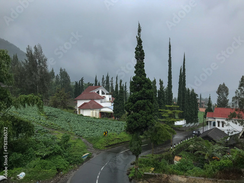 Foggy highland scenery of Bromo with vibrant green farmland in the afternoon. 