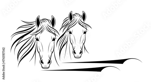 Two horse heads with flowing manes isolated on white background in black and white