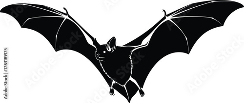 Silhouette of Bat Flying with Outstretched Wings and Visible Anatomy, Calm Mood, One-Panel Wildlife and Nature Vector Scene