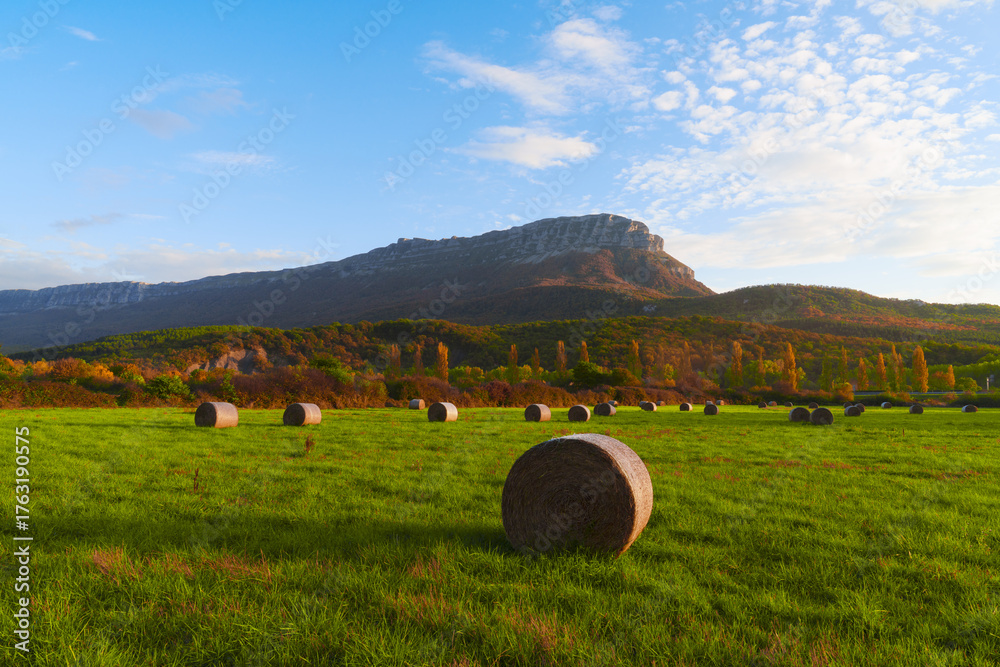 Fototapeta premium Straw bales in the meadows in Sakana, Navarre