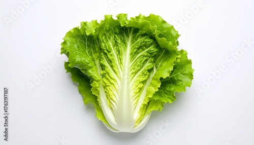 Fresh Green Lettuce on White Background HD