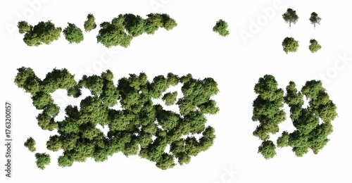 trees in the forest, top view, area view, isolated on white background, 3D illustration, cg render
